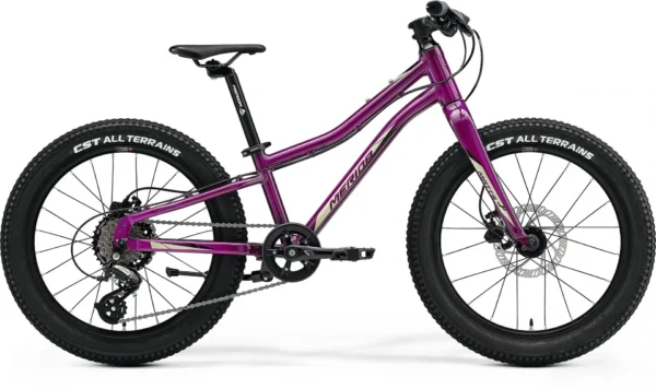 6a06117e5ff793bfc8ee220195513cdc-convert.webp Велосипед 20" Merida MATTS J.20+ (2023) purple