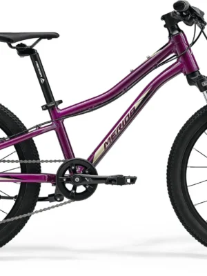 Велосипед 20" Merida MATTS J.20 (2023) purple